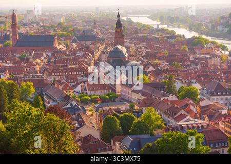 Luftaufnahme von Heidelberg mit historischer Architektur, üppigem Grün und dem Neckar während der goldenen Stunde. Stockfoto