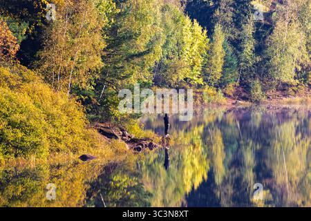 Ein ruhiger Blick auf das lebhafte Herbstlaub, das sich auf ruhigem Wasser spiegelt, in bezauberndem Morgenlicht gefangen Stockfoto