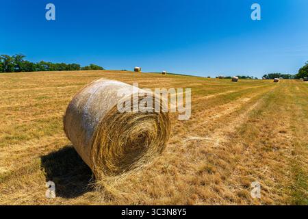 Eine malerische und malerische Aussicht mit runden Heuballen, die wunderschön über ein sonnendurchflutetes Feld verstreut sind Stockfoto