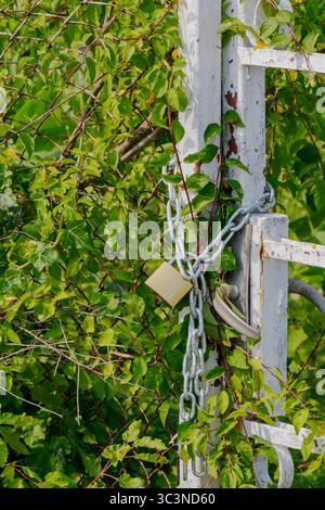 Ein weißes Metalltor, das mit einer Kette und einem Vorhängeschloss gesichert ist, ist mit üppiger grüner Vegetation bewachsen. Das Gebiet hat ein dichtes Laub, was auf eine abgeschiedene Weise hindeutet Stockfoto