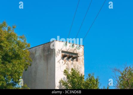 Ein alter elektrischer Transformator aus Beton mit elektrischer Hardware und Stromleitungen befindet sich im Freien, umgeben von grünen Bäumen unter einem hellen Clo Stockfoto