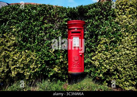 Roter Postkasten in der Hecke im ländlichen Raum, UK Stockfoto