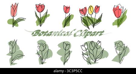 Botanische Clipart, Illustration, Zeichnung, Blumenkollektion, Blumendesign, Blume Clipart, Handgezeichnete Blumen, Line Art Blumen, Moderne Blume Stock Vektor