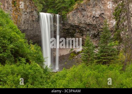 Tamanawas Falls entlang des Tamanawas Falls Trail, Mt. Hood National Scenic Byway, Mt Hood National Forest, Oregon Stockfoto