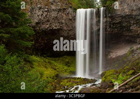 Tamanawas Falls entlang des Tamanawas Falls Trail, Mt. Hood National Scenic Byway, Mt Hood National Forest, Oregon Stockfoto