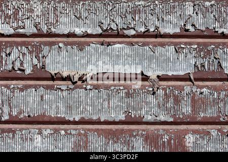 Eine detaillierte Ansicht der alten Wellblechverkleidung zeigt braunes Substrat und eine ausgedehnte abblätternde graue Farbe, die Anzeichen von Zeit und Exposition offenbart Stockfoto
