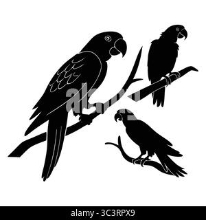 Silhouettenillustrationen afrikanischer Graupapageien, die auf Ästen in verschiedenen Posen thront Stock Vektor