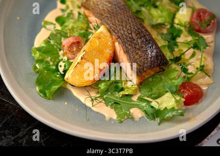 Köstlich gegrilltes Lachsfilet serviert auf einem frischen Bett mit Kirschtomaten und einer pikanten Zitrusgarne für ein kulinarisches Gourmet-Erlebnis Stockfoto