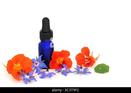 Borretschkraut- und Kapuzinerkraut-Extrakt-Heilbehandlung mit blauer ätherischer Ölflasche auf weiß. Wird in verschiedenen pflanzlichen Heilmitteln verwendet. Stockfoto
