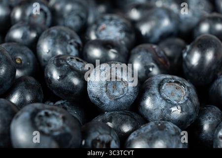Detaillierte Aufnahme der Reifen Blueberry-Oberfläche. Stockfoto