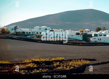 Kleine Stadt und Weinberge mit wachsenden Trauben auf dem schwarzen Vulkanboden der Insel Lanzarote. Stockfoto