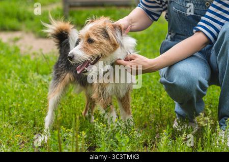 Ein Mädchen streichelt draußen einen glücklichen, dreckigen Hund, zeigt einen Moment der Zuneigung und Gesellschaft Stockfoto