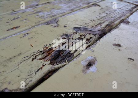 Alte lackierte und abblätternde Holzoberfläche – verwitterte Holzstruktur Stockfoto