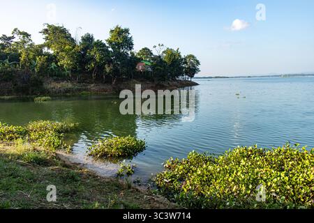 Dichter Dschungel bedeckt Hügel um Rangamati Stockfoto