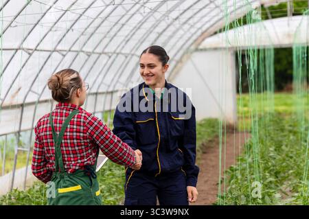 Fröhliche Arbeiterinnen, die sich die Hände schütteln, während sie über Geschäfte im Gewächshaus diskutieren Stockfoto