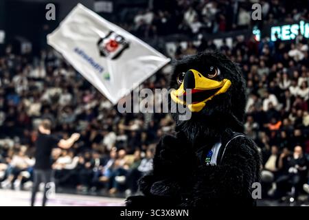ISTANBUL, TÜRKEI - FABRUARY 13, 2025: Turkiye Sigorta Basketball Super League reguläres Saisonspiel zwischen Besiktas Fibabanka und Anadolu Efes in Besi Stockfoto