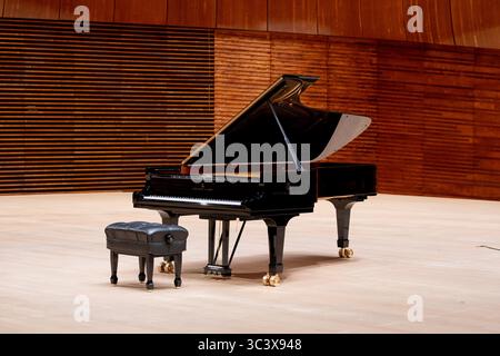 Steinway & Sons Konzertflügel Modell D 274 mit Bank auf der Bühne des Nationalen Symphonieorchesters des polnischen Rundfunks (NOSPR) in Kattowitz. Stockfoto