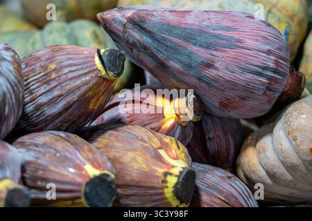 Bananenblüten, auch bekannt als Bananenherzen, werden auf einem Markt präsentiert. Stockfoto