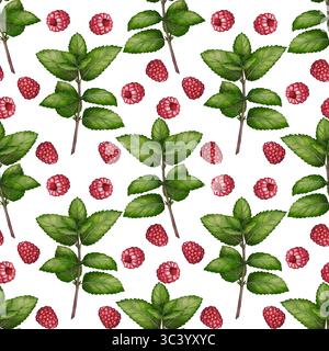 Nahtloses Muster mit Minzzweigen und Himbeeren, Aquarellzeichnung. Ideal für Teeverpackungen und botanische Designs. Stockfoto