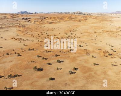 Aus der Vogelperspektive auf eine weite, trockene Landschaft mit karger Vegetation unter klarem Himmel, Tsondab Valley, Khomas, Namibia. Stockfoto