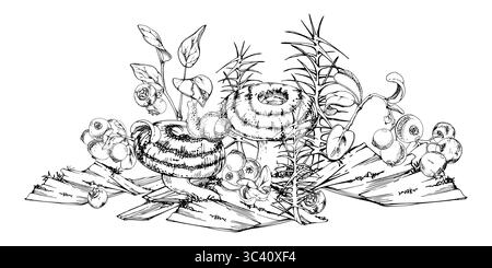 Lactarius Milchmütze Russula gestreifter Pilz, Schnecke auf Kappe, brombeere Preiselbeere Blaubeere, Schachtelhalm auf Rinde mit Moosflechte Stock Vektor