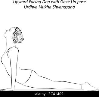 Skizze einer jungen Frau, die Urdhva Mukha Shvanasana Yoga-Pose praktiziert. Nach oben gerichtete Hunde-Yoga-Pose. Isolierte Vektordarstellung. Stock Vektor