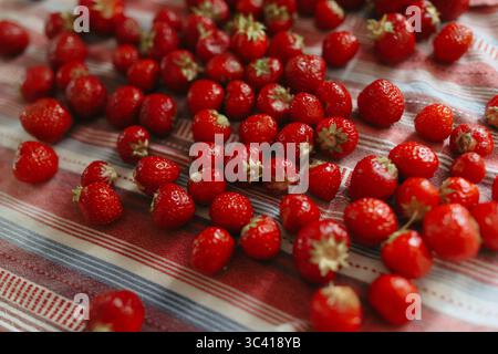 Bio-Erdbeeren auf Geschirrtuch Stockfoto