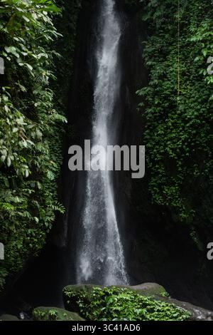 Hoher, schmaler Wasserfall, der zwischen üppig grünem Laub fällt, tropisch Stockfoto