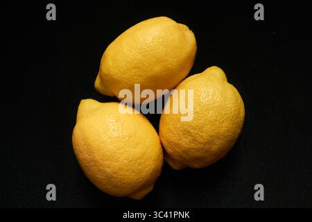 Drei frische gelbe Zitronen auf schwarzem Hintergrund in Studio Lighting Stockfoto