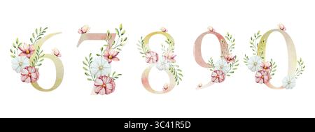 Elegante Nummer sechs, sieben, acht, neun, Null mit Blumen und Blättern, Schmetterling. Aquarellgerbera, Kamille, Echinacea. Handgezeichnete Wildblumenkunst Stockfoto