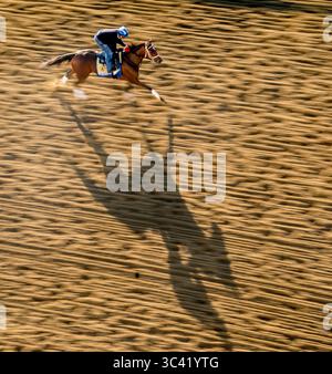 März 2017, Baltimore, MD, USA: 13. Mai 2021: Abenteuerübungen für die Black-Eyed Susan Stakes auf dem Pimlico Race Course in Baltimore, Maryland. Scott Serio/Eclipse Sportswire/CSM(Credit Image: &Copy; Scott Serio/CSM via ZUMA Wire) Stockfoto