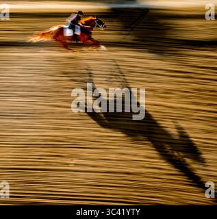 März 2017, Baltimore, MD, USA: 13. Mai 2021: Szenen von morgendlichen Workouts auf dem Pimlico Race Course in Baltimore, Maryland. Scott Serio/Eclipse Sportswire/CSM(Credit Image: &Copy; Scott Serio/CSM via ZUMA Wire) Stockfoto