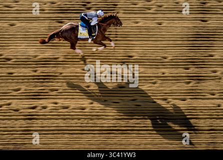 März 2017, Baltimore, MD, USA: 13. Mai 2021: Crowded Trade Übungen für die Preakness Stakes auf dem Pimlico Race Course in Baltimore, Maryland. Scott Serio/Eclipse Sportswire/CSM(Credit Image: &Copy; Scott Serio/CSM via ZUMA Wire) Stockfoto