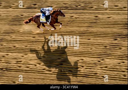 März 2017, Baltimore, MD, USA: 13. Mai 2021: Crowded Trade Übungen für die Preakness Stakes auf dem Pimlico Race Course in Baltimore, Maryland. Scott Serio/Eclipse Sportswire/CSM(Credit Image: &Copy; Scott Serio/CSM via ZUMA Wire) Stockfoto
