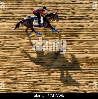 März 2017, Baltimore, MD, USA: 13. Mai 2021: Medina Spirit, Gewinnerin des Kentucky Derbys, mit Umberto Gomez, bereitet sich auf die Preakness Stakes auf dem Pimlico Race Course vor, nachdem vor fast zwei Wochen ein positiver Test nach dem Run for the Roses in Churchill Downs stattgefunden hatte. Scott Serio/Eclipse Sportswire/CSM(Credit Image: &Copy; Scott Serio/CSM via ZUMA Wire) Stockfoto