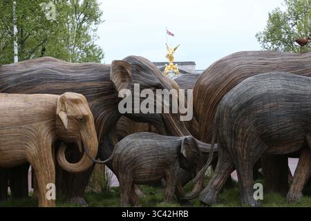 15. Mai 2021, London, England, Vereinigtes Königreich: Eine Herde lebensgroßer Elefantenstatuen sind in der Mall in London zu sehen. Elephant Family Trust inszenierte die Veranstaltung im Rahmen ihrer „Koexistenz“-Kampagne, um die Auswirkungen menschlicher Auswirkungen auf das wilde Leben und die Notwendigkeit, die aussterbenden asiatischen Elefanten zu schützen, hervorzuheben. (Bild: © Tayfun Salci/ZUMA Wire) Stockfoto