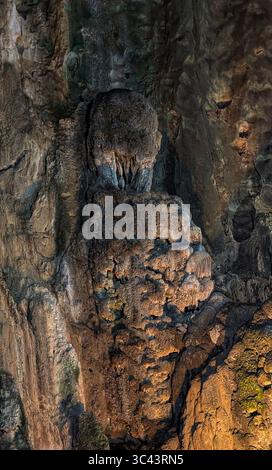 Die atemberaubende Fotografie bei Sonnenuntergang entfaltet sich in den Batu Caves Malaysia, wo der Himmel der goldenen Stunde auf Stadtturmlichter und Straßenbeleuchtung trifft. Von Stockfoto