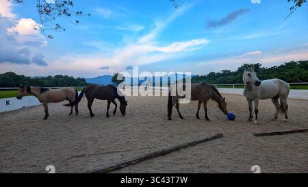 Die atemberaubende Fotografie bei Sonnenuntergang entfaltet sich in den Batu Caves Malaysia, wo der Himmel der goldenen Stunde auf Stadtturmlichter und Straßenbeleuchtung trifft. Von Stockfoto