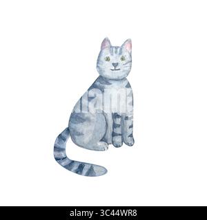 Graue Tabbykatze, grüne Augen sitzen ruhig. Niedliche Aquarellillustration isoliert auf weiß. Handbemalt, skurril, perfekt für Kinder Stockfoto