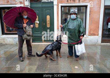 April 2021: Venedig während Covid19 Lockdown, Italien, Europa, Hunde von Venedig, Hund, (Bild: © Ania FreindorfZUMA Wire) Stockfoto