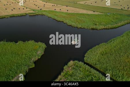 Aus der Vogelperspektive auf ein einsames Floßhaus inmitten des dunklen Wassers, flankiert von lebhaftem grünen Schilf und goldenen Feldern, Katwoude, Noord-Holland, Niederlande. Stockfoto