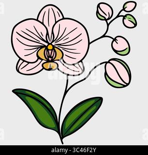 Eine stilisierte Vektor-Illustration einer rosa Orchideenblume mit grünen Blättern und Knospen, mit auffälligen Umrissen und einem einfachen Design. Stock Vektor