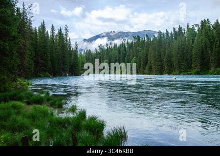 Türkisfarbener Kristallklarer Fluss, Der Durch Die Üppige Waldlandschaft Fließt, Kanas, Xinjiang, China Stockfoto