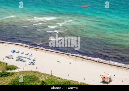 Miami Beach Florida, Ocean Terrace Beach, von oben aus der Luft mit Blick nach unten, Atlantikküste mit großer sichtbarer Ansammlung von Sargassum Meer Stockfoto