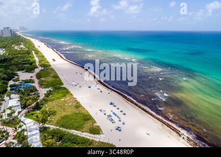 Miami Beach Florida, Ocean Terrace Beach, von oben aus die Luft schauend, Atlantikküste mit großer sichtbarer Ansammlung Sargassum nat Stockfoto