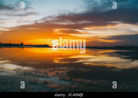 Am Strand Barceloneta können Sie die Reflektionen des dramatischen Sonnenaufgangs mit Vögeln im Flug bewundern Stockfoto