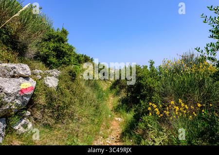 Ein schmaler, sonnenverwöhnter Wanderweg schlängelt sich durch felsige, grüne mediterrane Vegetation auf der Insel Lefkada, Griechenland. Ein markanter rot-gelber Weg Stockfoto