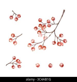 Rote Weihnachtsbeeren und Zweige zum Dekorieren von Sträußen, Rahmen, Kränzen, Borten. Handgezeichnete Aquarellillustration isoliert auf weiß. Botanik Neu Stockfoto