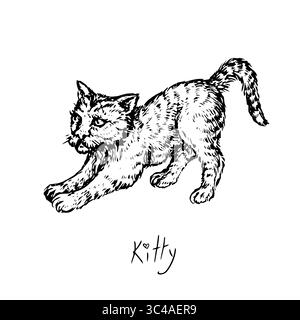 Katze (Kätzchen) kleine nette Dehnung, Seitenansicht, Doodle schwarze Tinte Zeichnung, Holzschnitt Vektor Stockfoto