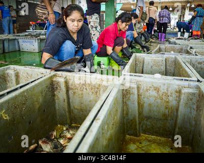 19. Juli 2018 - Bangkok, Bangkok, Thailand - Arbeiter sortieren Fisch auf dem Saphan Pla Fish Market in Bangkok. Der Fischkonsum hat kürzlich einen Rekordhoch erreicht, so ein kürzlich von der Ernährungs- und Landwirtschaftsorganisation der Vereinten Nationen veröffentlichter Bericht. Die FAO berichtete, dass die weltweite Fischproduktion im Jahr 2016 mit rund 171 Millionen Tonnen ihren Höchststand erreichte, 47 Prozent davon aus Fischzucht. Die FAO berichtete ferner, dass der weltweite Fischverbrauch zwischen 1961 und 2016 fast doppelt so schnell gestiegen sei wie die Bevölkerungszunahme. Im Jahr 2015 machten Fische etwa 17 Prozent des weltweit konsumierten tierischen Proteins aus. Das hat Auswirkungen Stockfoto